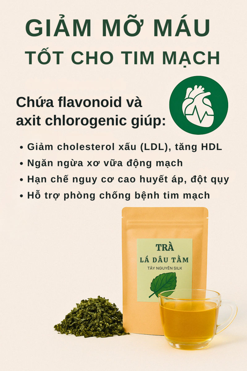 TÂY NGUYÊN SILK
