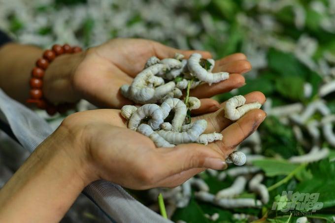 Không có mô tả ảnh.