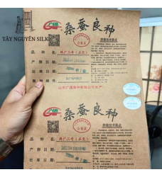 TRỨNG TẰM GIỐNG LƯỠNG HỆ KÉN TRẮNG SƠN ĐÔNG ĐẦU 9 - 932 x 7532