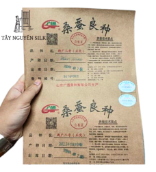 TRỨNG TẰM GIỐNG LƯỠNG HỆ KÉN TRẮNG SƠN ĐÔNG ĐẦU 7 - 7532 x 932