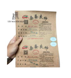 TRỨNG TẰM GIỐNG LƯỠNG HỆ KÉN TRẮNG SƠN ĐÔNG ĐẦU 7 - 7532 x 932
