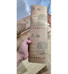 TRỨNG TẰM LƯỠNG HỆ ĐẦU 7 - TRỨNG BÌA VÂN NAM