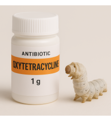 OXYTETRACYCLINE – KHÁNG SINH PHỔ RỘNG ĐẶC TRỊ BỆNH VIÊM RUỘT, TIÊU CHẢY TRÊN TẰM