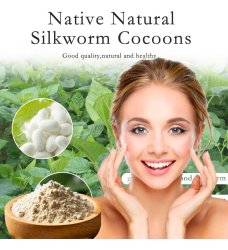 Pure Silk Powder – Bột Kén Tằm Mặt Nạ Chăm Sóc Da Mặt