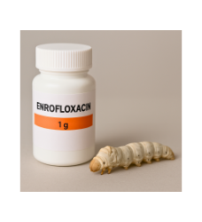 ENROFLOXACIN – KHÁNG SINH ĐẶC TRỊ NHIỄM KHUẨN CẤP TÍNH CHO TẰM