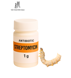 STREPTOMYCIN – KHÁNG SINH PHÒNG BỆNH MỦ, VIÊM RUỘT VÀ TIÊU CHẢY Ở TẰM