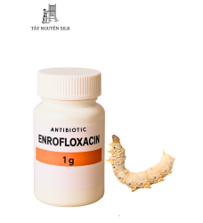 ENROFLOXACIN – KHÁNG SINH ĐẶC TRỊ BỆNH NHIỄM KHUẨN CẤP TÍNH CHO TẰM
