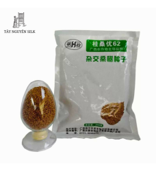 HẠT GIỐNG DÂU TAM BỘI GUISANGYU SỐ 62