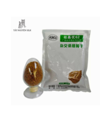 HẠT GIỐNG DÂU TAM BỘI GUISANGYU SỐ 62