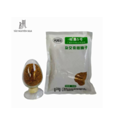 HẠT GIỐNG DÂU LAI TAM BỘI GUISANGYU SỐ 5