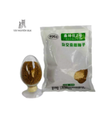 HẠT GIỐNG DÂU LAI GUISANGYU SỐ 2