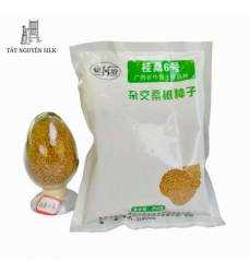 HẠT GIỐNG DÂU LAI TAM BỘI GUISANGYU SỐ 6