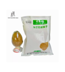 HẠT GIỐNG DÂU LAI TAM BỘI GUISANGYU SỐ 6
