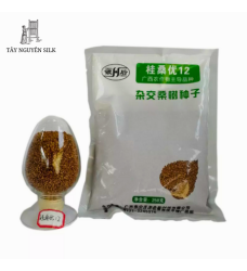 HẠT GIỐNG DÂU LAI GUISANGYU SỐ 12