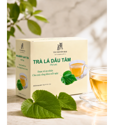 TRÀ LÁ DÂU TẰM TÚI LỌC TÂY NGUYÊN SILK – DƯỢC TRÀ TỰ NHIÊN CHO SỨC KHỎE MỖI NGÀY