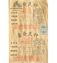 TRỨNG TẰM GIỐNG LƯỠNG HỆ KÉN TRẮNG HƯNG NGHIỆP QUẢNG TÂY - ĐẦU 9 (932X7532)