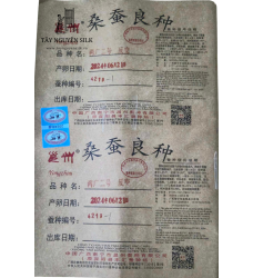 TRỨNG TẰM GIỐNG LƯỠNG HỆ KÉN TRẮNG TÂN DƯƠNG ĐẦU 9 - 932 x 7532