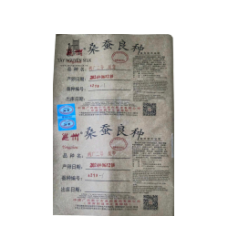 TRỨNG TẰM GIỐNG LƯỠNG HỆ KÉN TRẮNG TÂN DƯƠNG QUẢNG TÂY  ĐẦU 7 - 7532 X 932