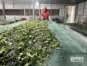 OXY, CO₂ VÀ LƯU THÔNG KHÔNG KHÍ TRONG NHÀ TẰM QUAN TRỌNG RA SAO?