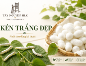 LÀM CÁCH NÀO ĐỂ TẰM CHO RA KÉN TRẮNG ĐẸP?