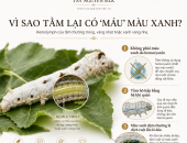 VÌ SAO TẰM LẠI CÓ “MÁU” MÀU XANH?