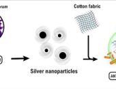 LỤA VÀ CÔNG NGHỆ NANO – BƯỚC TIẾN TỪ VẬT LIỆU TRUYỀN THỐNG ĐẾN LỤA THÔNG MINH