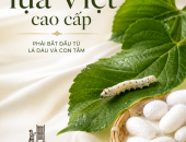 MUỐN CÓ LỤA VIỆT CAO CẤP PHẢI BẮT ĐẦU TỪ LÁ DÂU VÀ CON TẰM