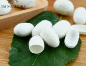 Kén tằm có công dụng gì trong y tế ?
