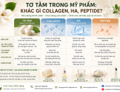 TƠ TẰM TRONG MỸ PHẨM: KHÁC GÌ COLLAGEN, HA, PEPTIDE?