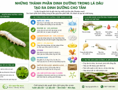 NHỮNG THÀNH PHẦN NÀO TRONG LÁ DÂU TẠO RA DINH DƯỠNG CHO TẰM?