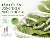 CÓ CẦN BỔ SUNG THÊM NƯỚC CHO TẰM KHI ĂN LÁ DÂU KHÔNG?