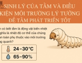 VÌ SAO THAY ĐỔI NHIỆT ĐỘ – ĐỘ ẨM ĐỘT NGỘT LÀM TẰM YẾU?