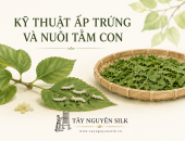 KỸ THUẬT ẤP TRỨNG VÀ KỸ THUẬT NUÔI TẰM CON ĐÚNG CÁCH