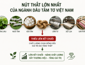 NÚT THẮT LỚN NHẤT CỦA NGÀNH DÂU TẰM TƠ VIỆT NAM HIỆN NAY LÀ GÌ?