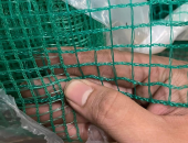 SỰ QUAN TRỌNG CỦA VIỆC LỌC TẰM Ở GIAI ĐOẠN TẰM LỚN
