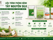 LIỆU TRÌNH PHÒNG BỆNH CỦA TÂY NGUYÊN SILK – KHÔNG CHỈ LÀ PHÒNG BỆNH