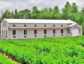 NUÔI TẰM THUÊ, NUÔI TẰM KHOÁN VÀ HỢP TÁC ĂN CHIA: MÔ HÌNH NÀO PHÙ HỢP?