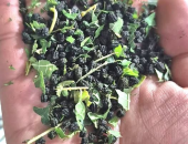 PHÂN TẰM (TẰM SA) – DƯỢC LIỆU TỪ TỰ NHIÊN, CỔ PHƯƠNG CÓ GHI