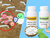 THUỐC CŨ KHÔNG CÒN HIỆU QUẢ – ĐÃ ĐẾN LÚC THỬ GIẢI PHÁP MỚI CHO TẰM