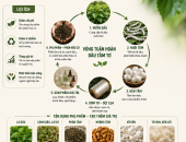 NGHỀ DÂU TẰM TƠ CÓ PHÙ HỢP VỚI NÔNG NGHIỆP TUẦN HOÀN KHÔNG?