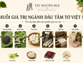 CHUỖI GIÁ TRỊ NGÀNH DÂU TẰM TƠ VIỆT NAM GỒM NHỮNG MẮT XÍCH NÀO?