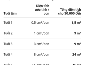 DIỆN TÍCH NUÔI TẰM BAO NHIÊU LÀ PHÙ HỢP? BẢNG DIỆN TÍCH TỐI ƯU CHO 1 HỘP TẰM 50KG KÉN