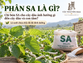 PHÂN SA LÀ GÌ? CHỈ BÓN PHÂN SA CHO CÂY DÂU ẢNH HƯỞNG GÌ ĐẾN CÂY DÂU VÀ CON TẰM?