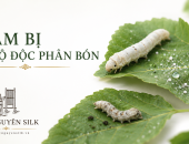 VÌ SAO TẰM BỊ NGỘ ĐỘC PHÂN BÓN? BIỂU HIỆN VÀ CÁCH XỬ LÝ