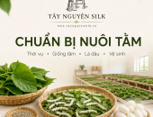 CHUẨN BỊ NUÔI TẰM: THỜI VỤ, GIỐNG TẰM, LÁ DÂU, NHÀ TẰM VÀ VỆ SINH SÁT TRÙNG TRƯỚC MỖI LỨA