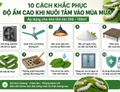 CÁCH KHẮC PHỤC ĐỘ ẨM CAO KHI NUÔI TẰM VÀO MÙA MƯA