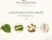 VÌ SAO NGÀNH DÂU TẰM TƠ CẦN CHUẨN HÓA TỪ NÔNG HỘ ĐẾN NHÀ ƯƠM TƠ?