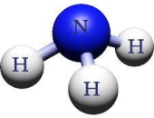 KHÍ AMONIAC GÂY ẢNH HƯỞNG TỚI SỨC KHỎE CỦA TẰM NHƯ THẾ NÀO?