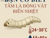 SINH LÝ CỦA TẰM VÀ ĐIỀU KIỆN MÔI TRƯỜNG LÝ TƯỞNG ĐỂ TẰM PHÁT TRIỂN TỐT