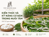 KIẾN THỨC CƠ BẢN TRONG NUÔI TẰM CHO NGƯỜI MỚI BẮT ĐẦU